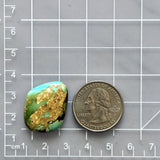 Large Yellow Freeform Royston Turquoise Dimensions