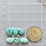 Small Faint Blue Mixed Kingman Turquoise, Set of 6 Dimensions