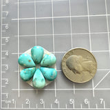 Small Sky Blue Teardrop Ithaca Peak Turquoise, Set of 6 Dimensions