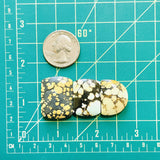 Large Mixed Mixed Giraffe Turquoise, Set of 3 Dimensions
