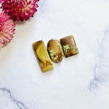 Large Earth Brown Mixed Golden Birch Turquoise, Set of 3 Background