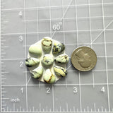 Small Light Yellow Mixed Crescent Lake Variscite, Set of 9 Dimensions