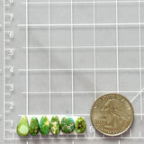 Small Lime Green Freeform Sonoran Gold Turquoise, Set of 6 Dimensions