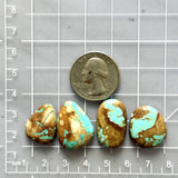 Medium Sky Blue Mixed Royston Turquoise, Set of 4 Dimensions