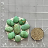 Small Mint Green Mixed Broken Arrow Variscite, Set of 9 Dimensions