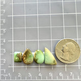 Small Faint Green Mixed Crescent Lake Variscite, Set of 4 Dimensions
