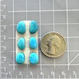 Small Sky Blue Freeform Sleeping Beauty Turquoise, Set of 6 Dimensions