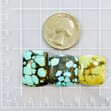 Large Mixed Barrel Mixed Turquoise, Set of 3 Dimensions