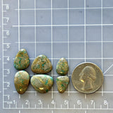Small Sky Blue Freeform Royston Turquoise, Set of 6 Dimensions