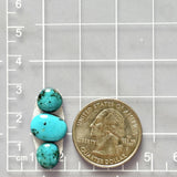 Small Sky Blue Freeform Kingman Turquoise, Set of 3 Dimensions
