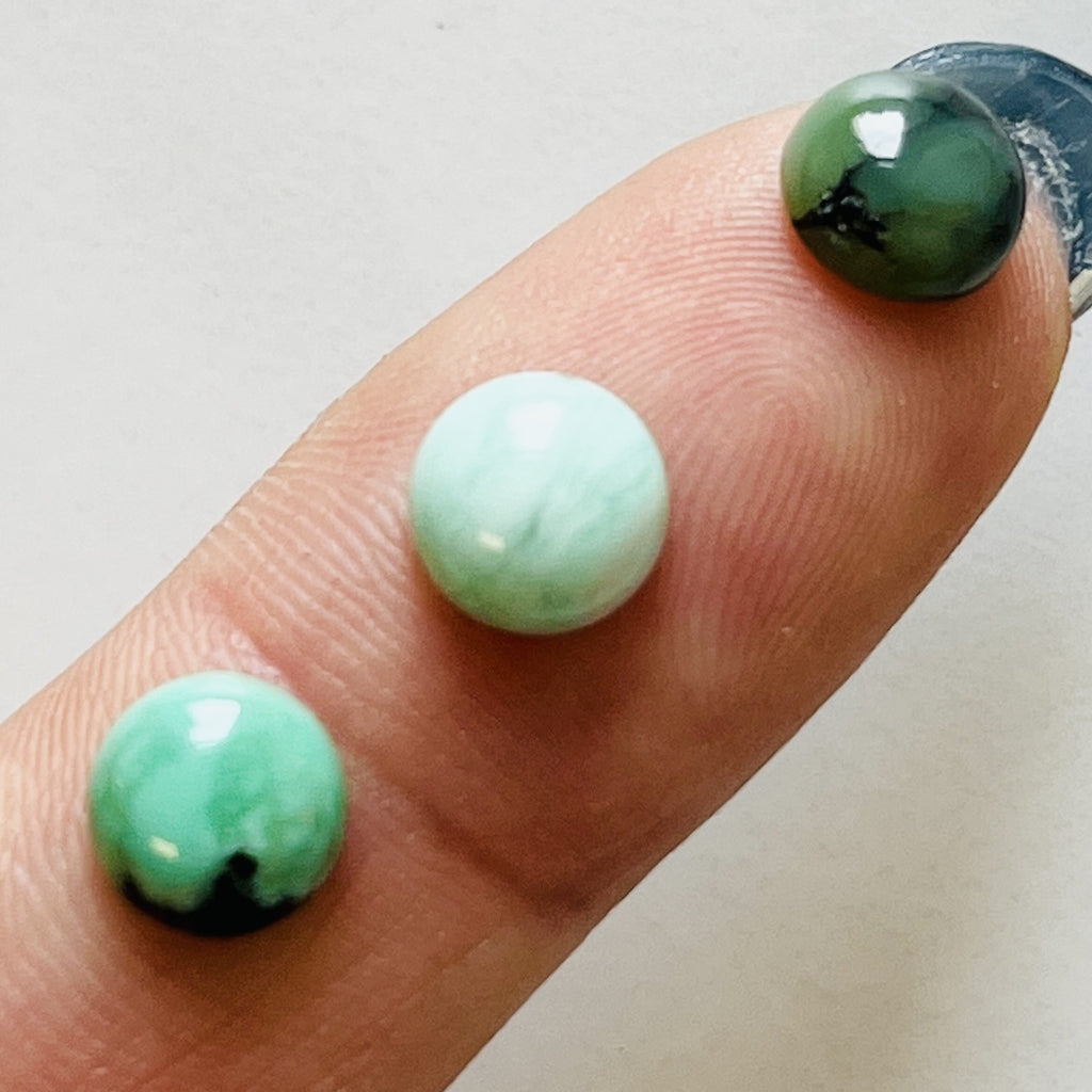 7x7 mm Round New Lander, Set of 2 – Turquoise Moose