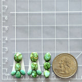 Small Lime Green Mixed Sonoran Gold Turquoise, Set of 13 Dimensions