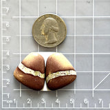 Large Red Freeform White Buffalo Dolomite, Set of 2 Dimensions