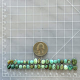 Small Mixed Mixed Mixed Turquoise, Set of 37 Dimensions