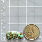 Small Sky Blue Freeform Number 8 Turquoise, Set of 3 Dimensions