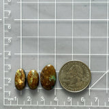 Small Sea Green Oval Tyrone Turquoise, Set of 3 Dimensions