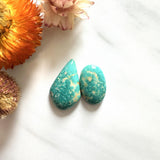 Large Mint Green Mixed Fox Turquoise, Set of 2 Background