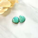 Medium Mint Green Freeform Tyrone Turquoise, Set of 2 Background