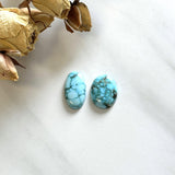 Medium Sky Blue Mixed Kingman Turquoise, Set of 2 Background