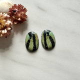 Medium Sea Green Oval Crescent Lake Variscite, Set of 2 Background