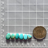 Small Sky Blue Mixed Kingman Turquoise, Set of 6 Dimensions