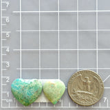 Medium Sky Blue Heart Broken Arrow Variscite, Set of 2 Dimensions