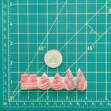 Medium Pink Mixed Rhodochrosite, Set of 6 Dimensions