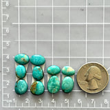 Small Sky Blue Mixed Tyrone Turquoise, Set of 10 Dimensions
