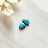 Small Sky Blue Freeform Sleeping Beauty Turquoise, Set of 2 Background