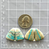 Medium Sky Blue Triangle Royston Turquoise, Set of 4 Dimensions