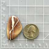 Large Red Freeform White Buffalo Dolomite Dimensions