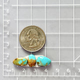 Small Sky Blue Freeform Royston Turquoise, Set of 3 Dimensions