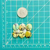 Small Mixed Oval Mixed Turquoise, Set of 6 Dimensions