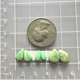 Small Lime Green Teardrop Crescent Lake Variscite, Set of 6 Dimensions