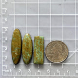 Large Earth Brown Mixed Treasure Mountain Turquoise, Set of 3 Dimensions