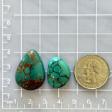 Large Bamboo Green Mixed Bamboo Mountain Turquoise, Set of 2 Dimensions