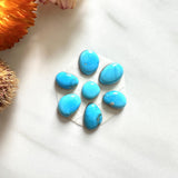 Small Sky Blue Mixed Kingman Turquoise, Set of 7 Background