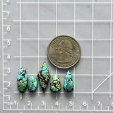Small Sky Blue Mixed Wild Horse Turquoise, Set of 5 Dimensions