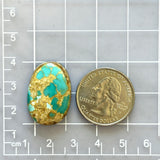 Large Sky Blue Oval Royston Turquoise Dimensions