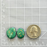Small Deep Green Freeform Tyrone Turquoise, Set of 2 Dimensions