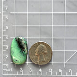 Large Sea Green Oval Crescent Lake Variscite Dimensions