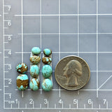 Small Sky Blue Mixed Number 8 Turquoise, Set of 10 Dimensions