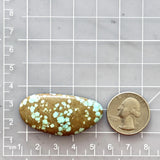 Large Sky Blue Freeform Number 8 Turquoise Dimensions