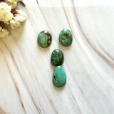 Small Mixed Mixed Pilot Mountain Turquoise, Set of 4 Background
