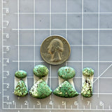 Small Sea Green Mixed Treasure Mountain Turquoise, Set of 8 Dimensions