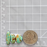 Small Mint Green Freeform Royston Turquoise, Set of 3 Dimensions