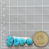 Small Sky Blue Freeform Kingman Turquoise, Set of 4 Dimensions