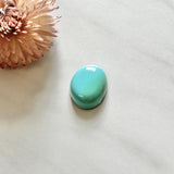 Large Sky Blue Freeform Royston Turquoise Background