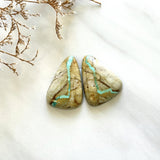 Large Faint Green Freeform Royston Turquoise, Set of 2 Background