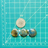 Medium Ocean Blue Round Ithaca Peak Turquoise, Set of 3 Dimensions